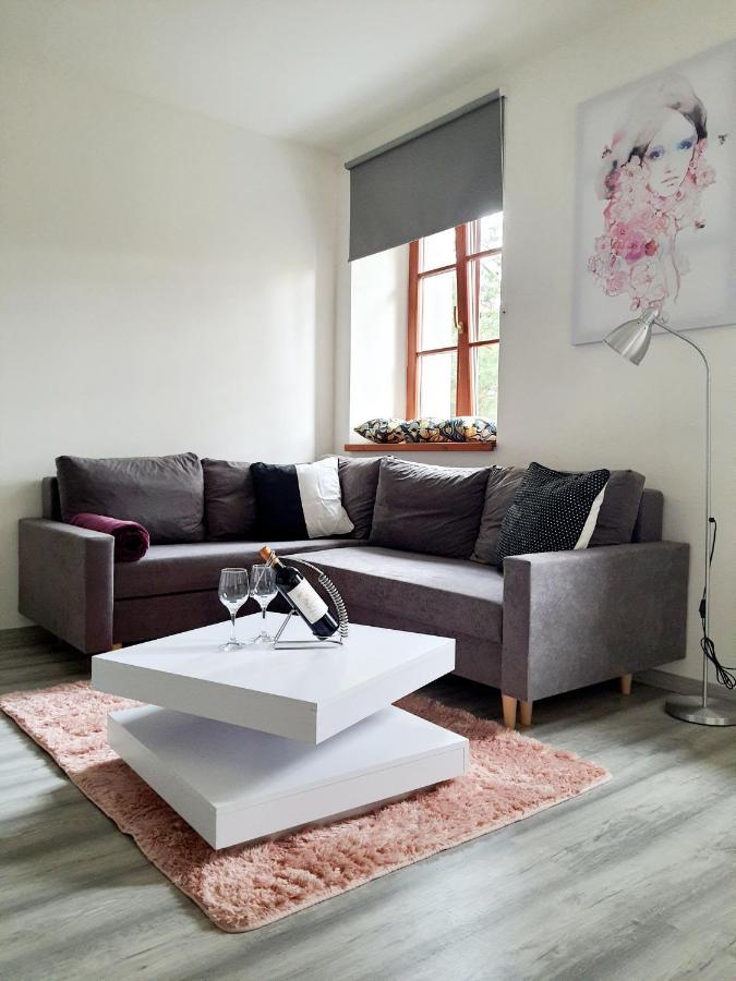 Apartman Spalovka Нови-Бор Экстерьер фото