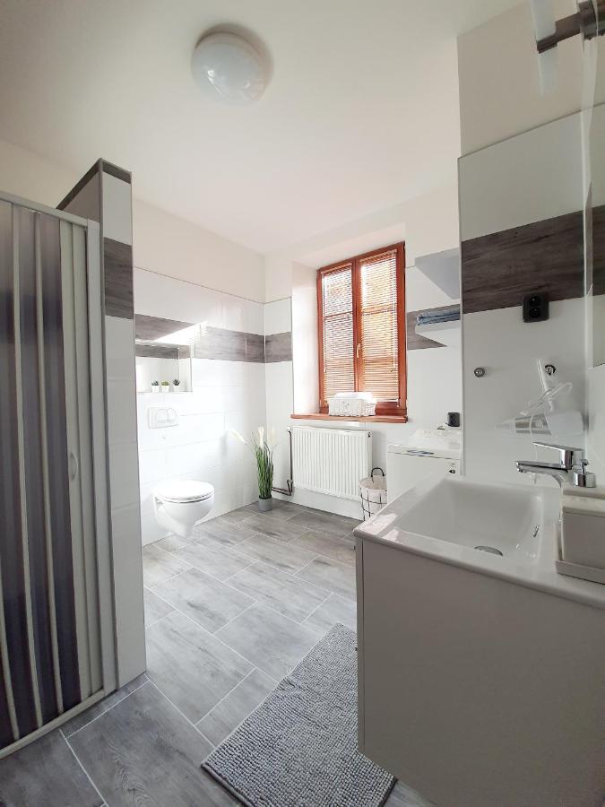 Apartman Spalovka Нови-Бор Экстерьер фото